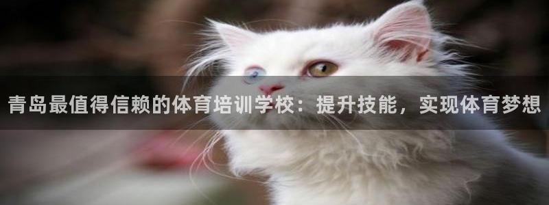 欧陆娱乐app攻略大全：青岛最值得信赖的体育培训学校