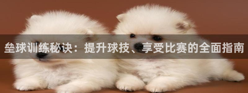 欧陆娱乐公司产品介绍图片：垒球训练秘诀：提升球技、享