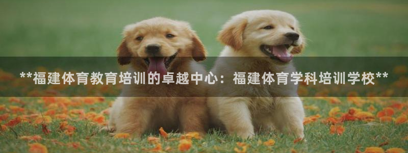 欧陆娱乐不让提现怎么办：**福建体育教育培训的卓越中