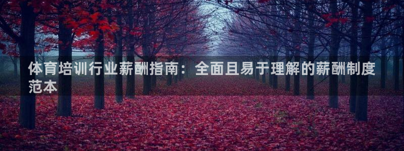 欧陆娱乐注册链接安全吗是真的吗：体育培训行业薪酬指南