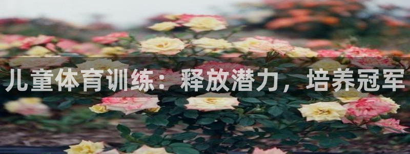 欧陆娱乐登录注册平台下载：儿童体育训练：释放潜力，培