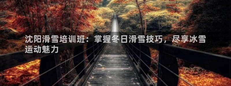 欧陆娱乐注册链接：沈阳滑雪培训班：掌握冬日滑雪技巧，