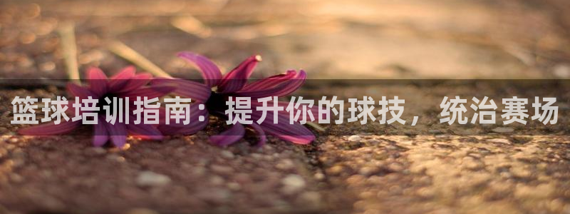 欧陆娱乐注册芯7o777ts=0：篮球培训指南：提升
