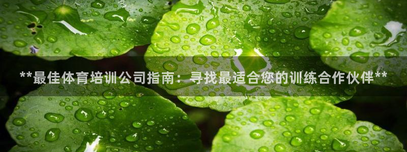 欧陆娱乐总代：**最佳体育培训公司指南：寻找最适合您