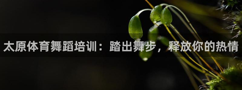 欧陆注册登录入口：太原体育舞蹈培训：踏出舞步，释放你