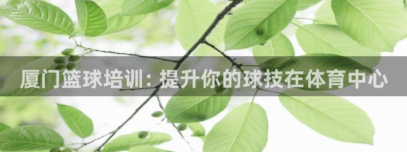 欧陆论坛：厦门篮球培训: 提升你的球技在体育中心