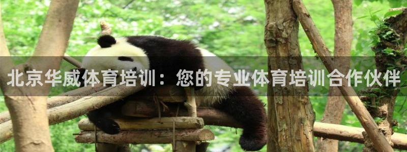 欧陆娱乐挂机项目有哪些