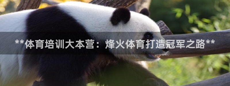 欧陆娱乐登陆官网下载：**体育培训大本营：烽火体育打
