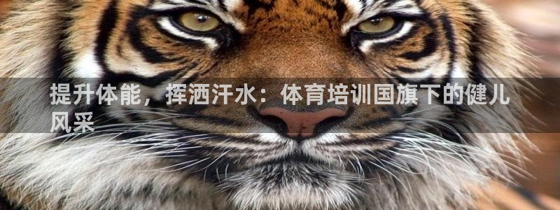 欧陆娱乐客服服务：提升体能，挥洒汗水：体育培训国旗下