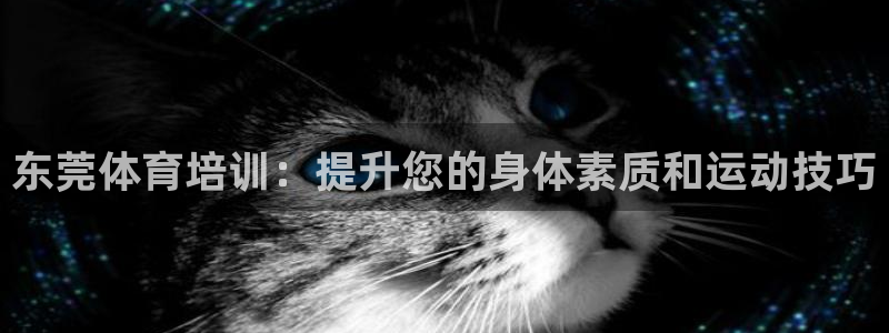 欧陆娱乐出款了吗：东莞体育培训：提升您的身体素质和运