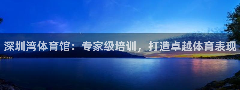 欧陆娱乐公司产品介绍怎么写：深圳湾体育馆：专家级培训