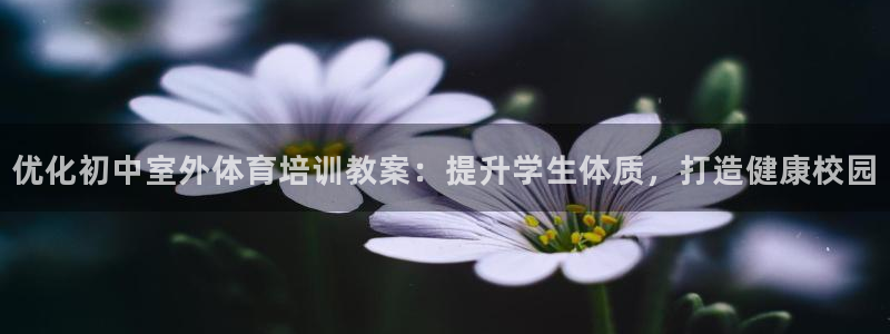 欧陆娱乐是干什么的：优化初中室外体育培训教案：提升学