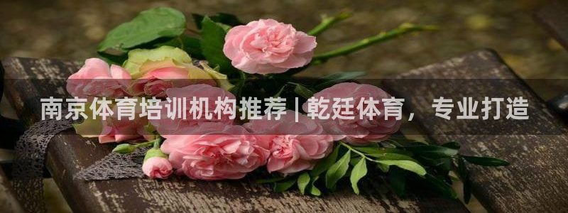 欧陆娱乐能提现嘛是真的吗：南京体育培训机构推荐 | 