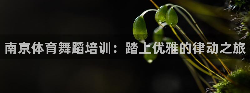 欧陆娱乐平台优势：南京体育舞蹈培训：踏上优雅的律动之