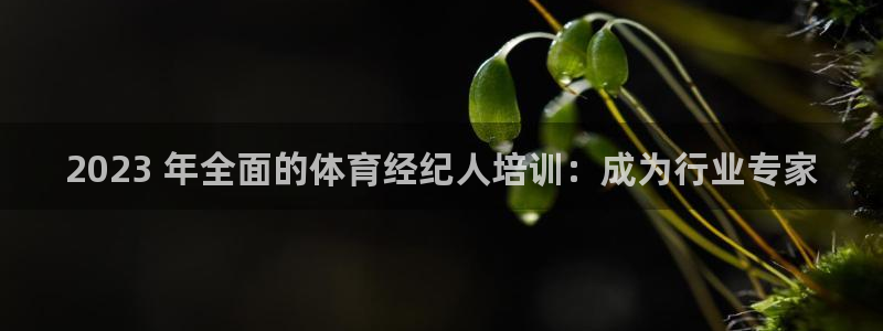 欧陆娱乐测速：2023 年全面的体育经纪人培训：成为
