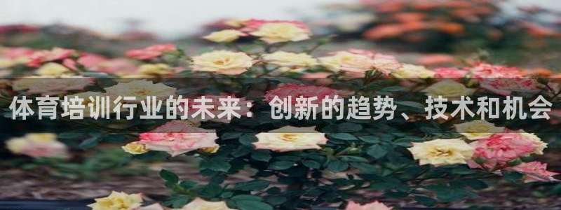 欧陆娱乐是正规平台吗安全吗可信吗：体育培训行业的未来