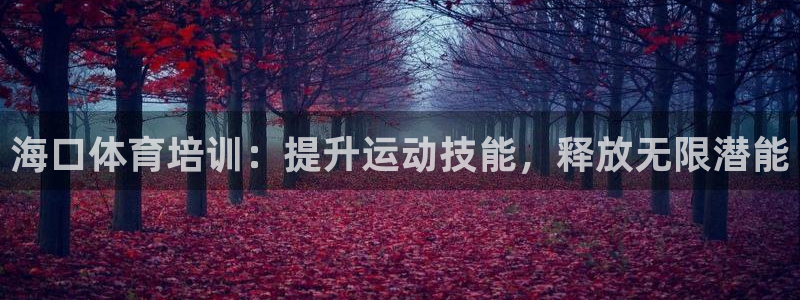 欧陆娱乐注册链接安全吗：海口体育培训：提升运动技能，