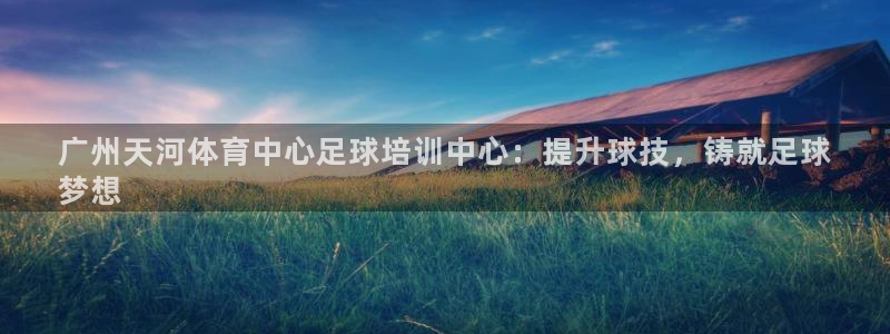 欧陆娱乐平台登陆地址是什么样的：广州天河体育中心足球