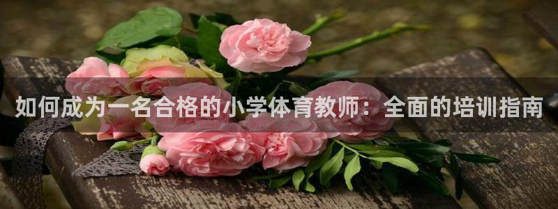欧陆娱乐代理 贴吧怎么样：如何成为一名合格的小学体育