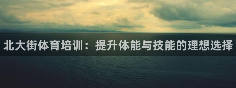 欧陆娱乐有限公司招聘：北大街体育培训：提升体能与技能