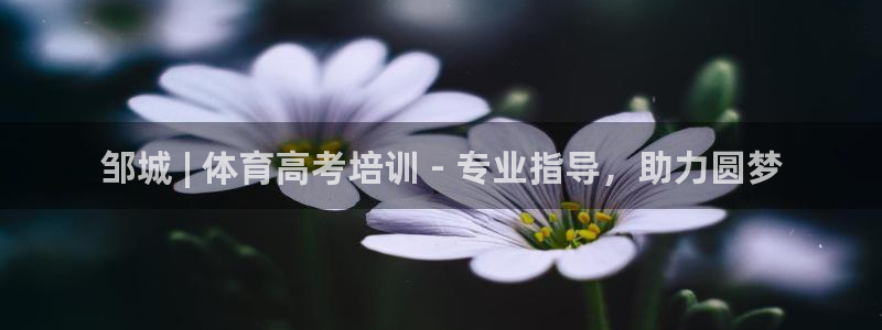 欧陆娱乐注册链接：邹城 | 体育高考培训 - 专业指