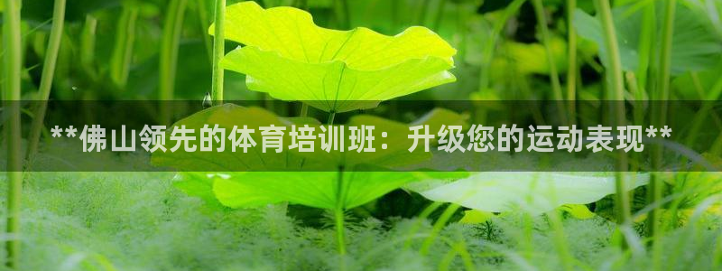 欧陆娱乐总代理是谁：**佛山领先的体育培训班：升级您