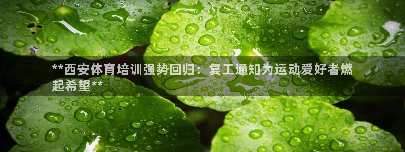欧陆官网下载：**西安体育培训强势回归：复工通知为运