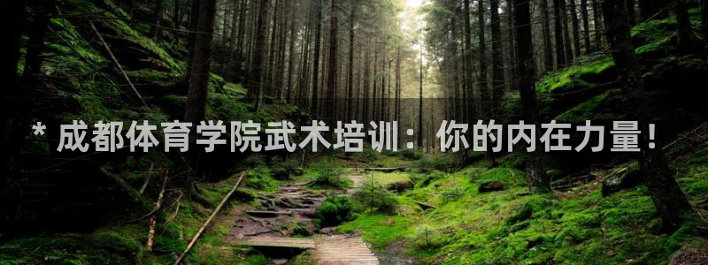 欧陆娱乐有限公司：* 成都体育学院武术培训：你的内在