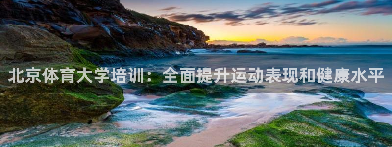 欧陆是什么平台：北京体育大学培训：全面提升运动表现和