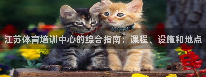 欧陆娱乐打什么方案赚钱：江苏体育培训中心的综合指南：