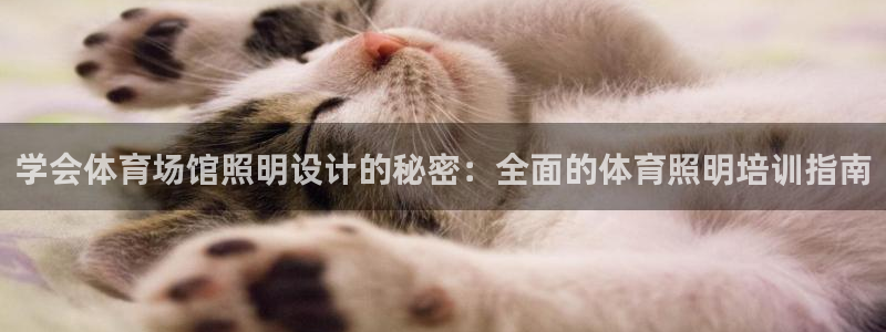 欧陆娱乐平台登陆地址在哪
