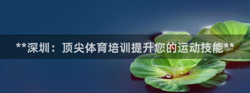 欧陆商城：**深圳：顶尖体育培训提升您的运动技能**