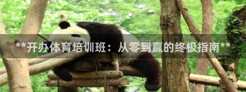 欧陆娱乐怎么注册会员号：**开办体育培训班：从零到赢
