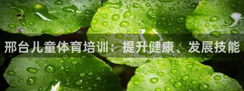 欧陆娱乐有风险吗：邢台儿童体育培训：提升健康、发展技
