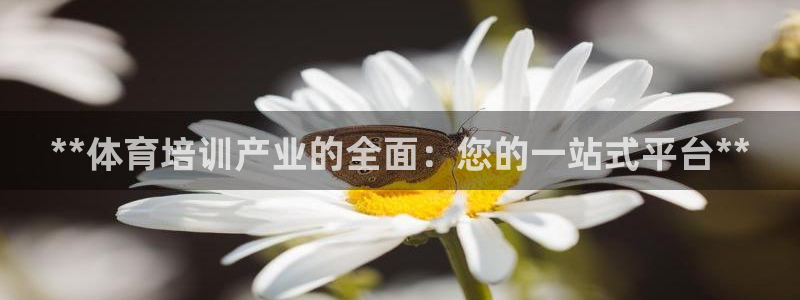 欧陆娱乐登录官网入口：**体育培训产业的全面：您的一