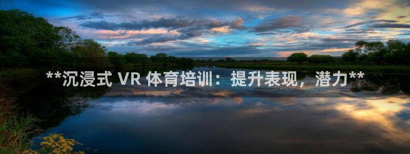 欧陆娱乐官网首页：**沉浸式 VR 体育培训：提升表