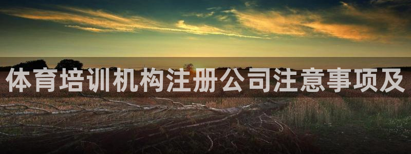 欧陆娱乐可以退钱：体育培训机构注册公司注意事项及