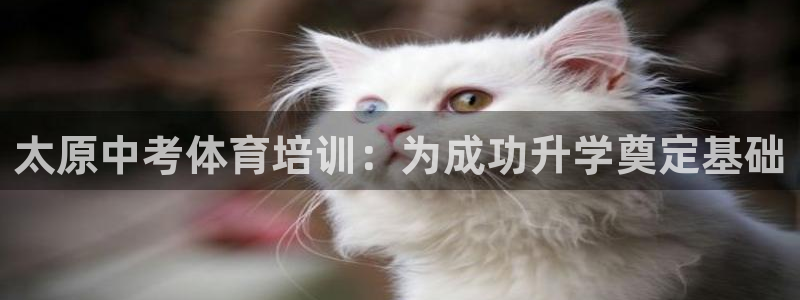 欧陆娱乐官方网站：太原中考体育培训：为成功升学奠定基