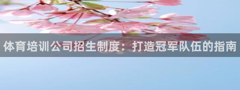 欧陆娱乐微信：体育培训公司招生制度：打造冠军队伍的指