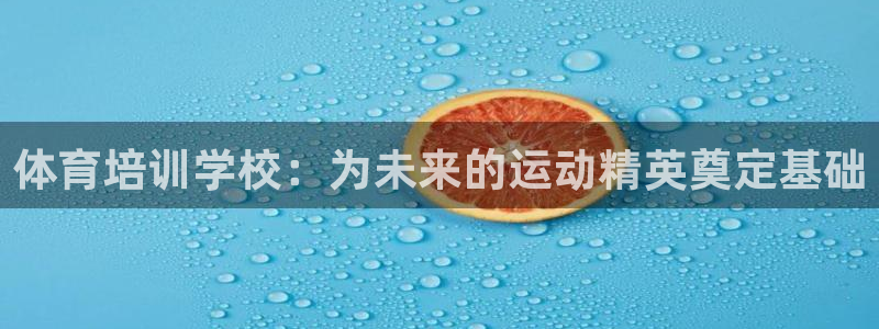 欧陆娱乐注册代理多少钱一年：体育培训学校：为未来的运