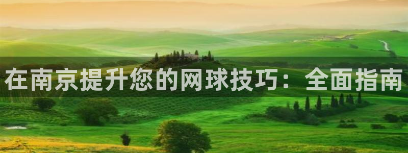欧陆娱乐合法吗?：在南京提升您的网球技巧：全面指南