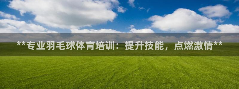 欧陆娱乐平台咋样啊赚钱：**专业羽毛球体育培训：提升