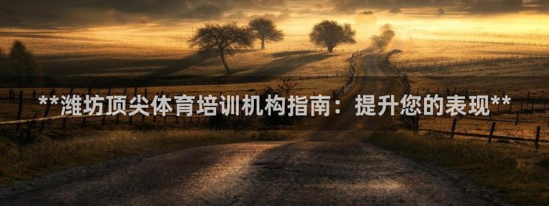 欧陆娱乐平台登录不上去怎么办：**潍坊顶尖体育培训机构指南：