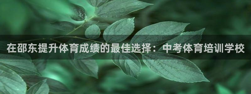 欧陆娱乐平台咋样啊安全吗：在邵东提升体育成绩的最佳选