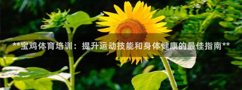欧陆娱乐官网下载安装苹果：**宝鸡体育培训：提升运动