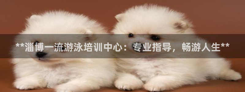 欧陆娱乐官方：**淄博一流游泳培训中心：专业指导，畅