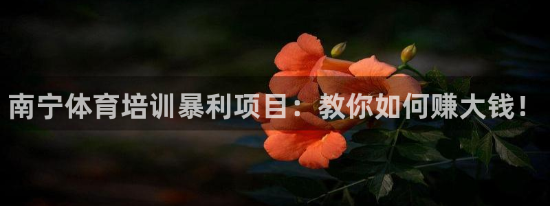 欧陆娱乐登陆官网网址：南宁体育培训暴利项目：教你如何
