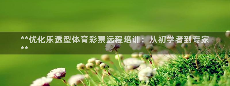 欧陆娱乐是那个旗下的品牌：**优化乐透型体育彩票远程
