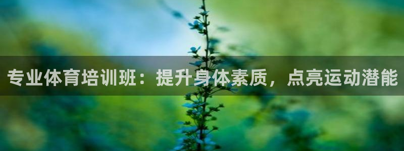 欧陆娱乐客服服务：专业体育培训班：提升身体素质，点亮