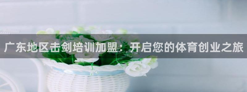 欧陆娱乐百科百度：广东地区击剑培训加盟：开启您的体育